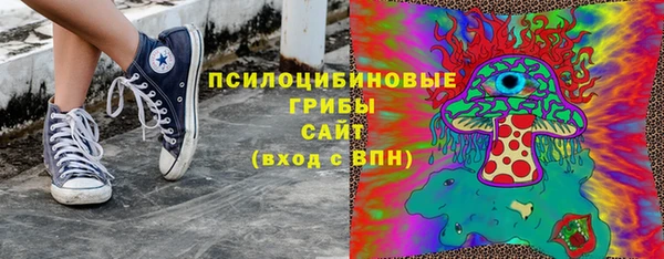 2c-b Козельск