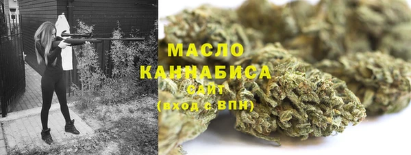 2c-b Козельск